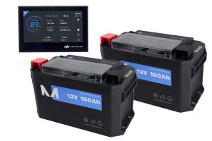 Dual 100AH Lithium Batteries w/C4 Monitor